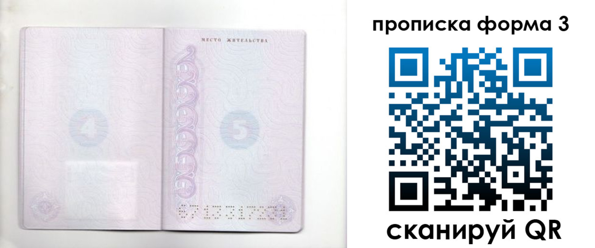 прописка гарантия в Коркино